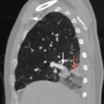 Creative Commons images