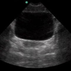 Creative Commons images