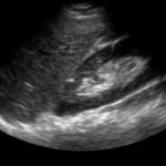 Creative Commons images