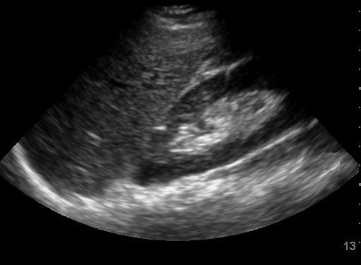 Creative Commons images