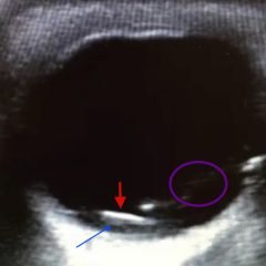 Creative Commons images