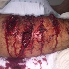 Creative Commons images