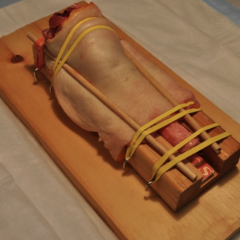 Emergency Surgical Airway Model for Procedural Skills Simulation 3 Creative Commons images