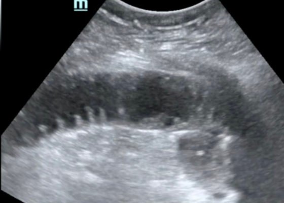 Creative Commons images