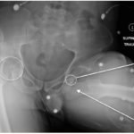 Creative Commons images