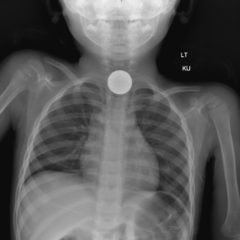 Creative Commons images