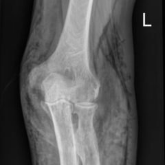 Creative Commons images