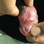 Creative Commons images