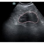 Creative Commons images