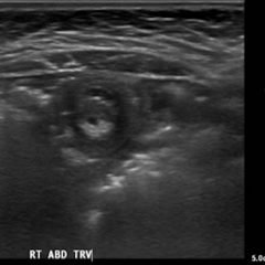 Creative Commons images