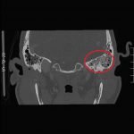 Creative Commons images