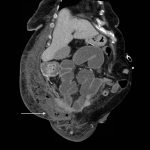 Creative Commons images