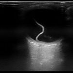 Creative Commons images