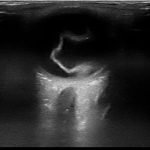 Creative Commons images