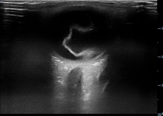 Creative Commons images