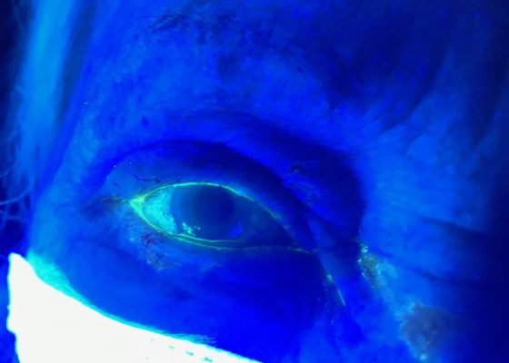 Creative Commons images