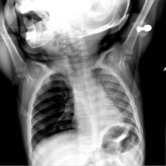 Creative Commons images