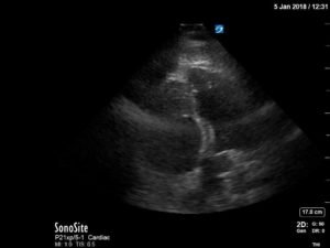 Creative Commons images