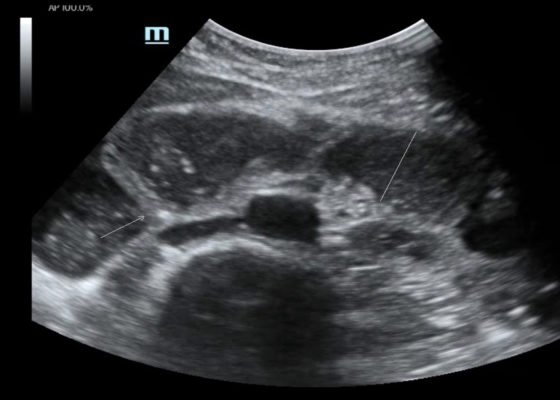 Creative Commons images