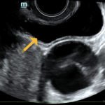 Creative Commons images