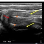 Creative Commons images