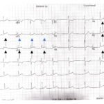 Creative Commons images