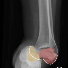 Creative Commons images