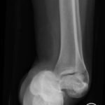 Creative Commons images