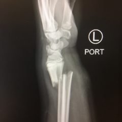 Creative Commons images