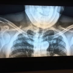 Creative Commons images