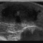 Creative Commons images