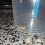 Creative Commons images