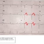 Creative Commons images