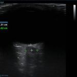 Creative Commons images