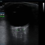 Creative Commons images