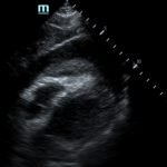 Creative Commons images