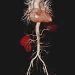 Creative Commons images