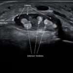 Creative Commons images