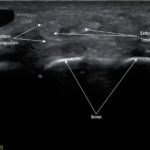 Creative Commons images