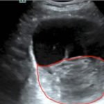 Creative Commons images