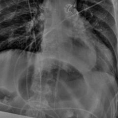 Creative Commons images