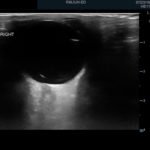 Creative Commons images