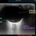 Creative Commons images