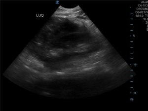 Creative Commons images