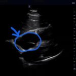 Creative Commons images