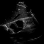 Creative Commons images