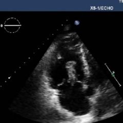 Creative Commons images