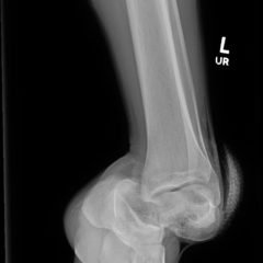 Creative Commons images