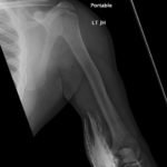 Creative Commons images