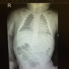 Creative Commons images